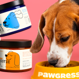 Pawgress preview 2